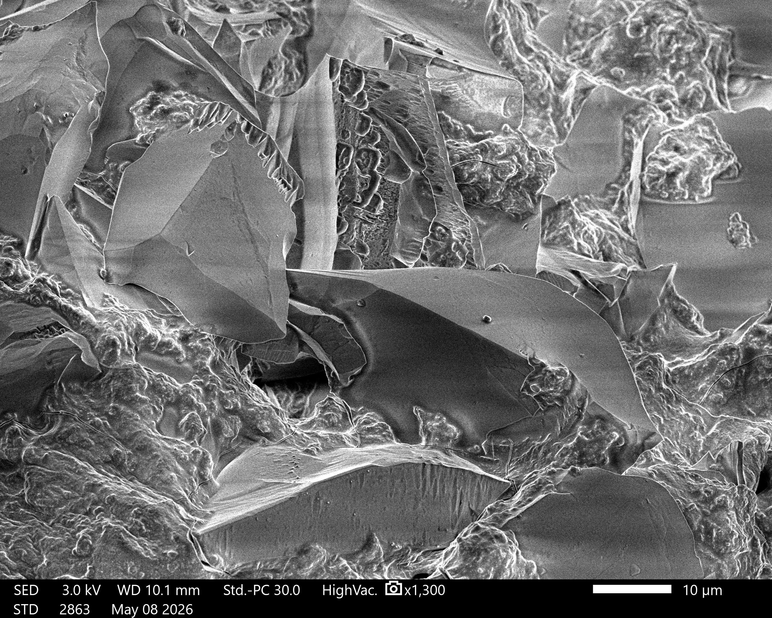 SEM image of engineered mineral carbonation